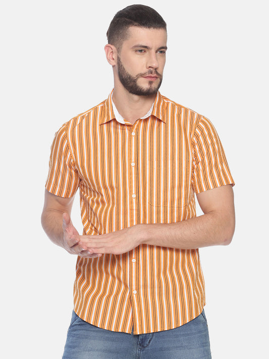 Striped Casual Shirt
